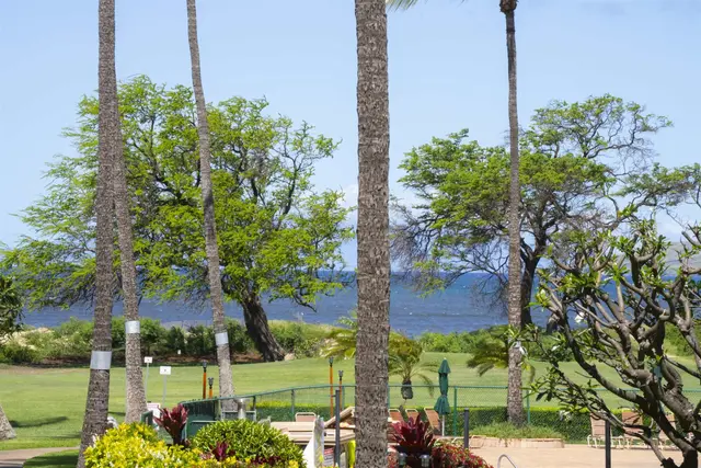 Listing Image for 940 S Kihei Rd C207 40 of 44