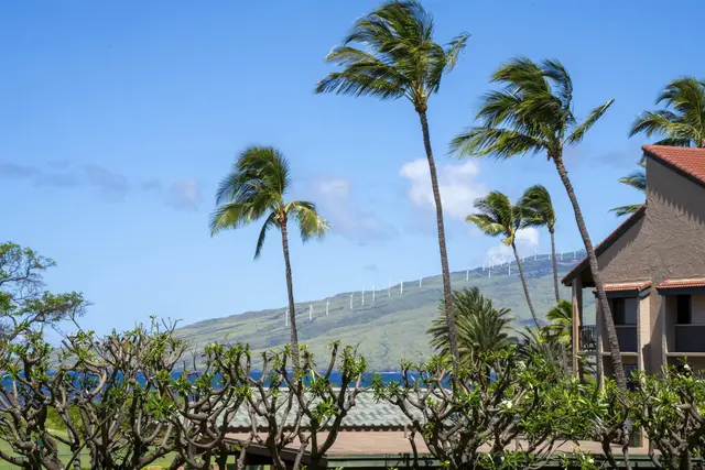 Listing Image for 940 S Kihei Rd C207 41 of 44