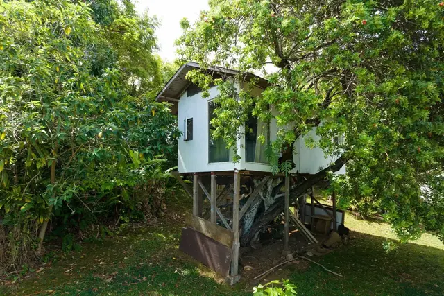Listing Image for 2556 Alohia Pl 25 of 38