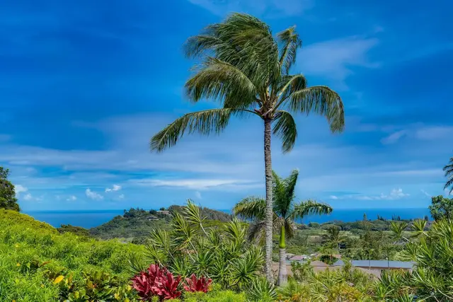 Listing Image for 2556 Alohia Pl 31 of 38