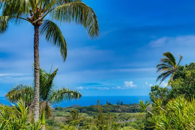 Listing Image for 2556 Alohia Pl 9 of 38