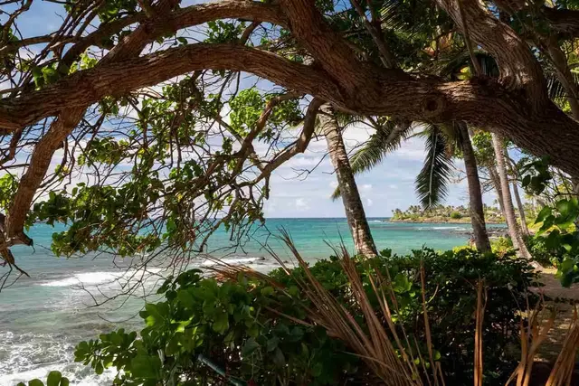 Listing Image for 531 Hana Hwy 12 of 21