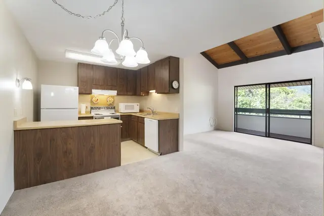 Listing Image for 2180 W Vineyard St 307 4 of 29