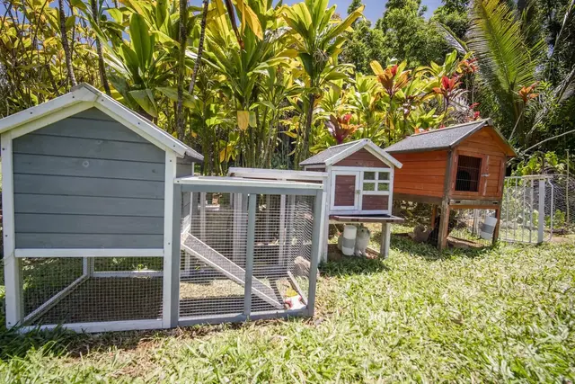 Listing Image for 60 Lepo Pl 40 of 47