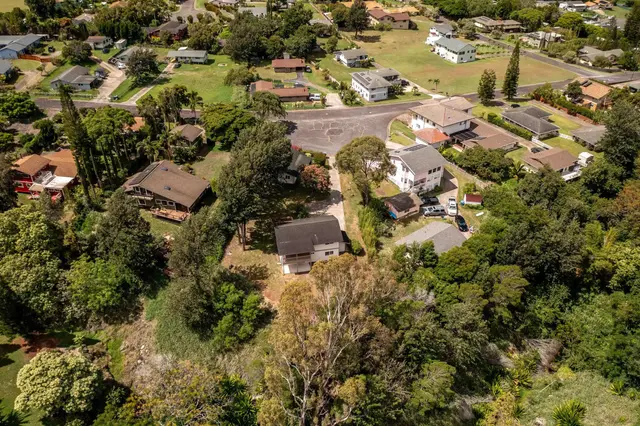 Listing Image for 160 Kapuahi St 49 of 50