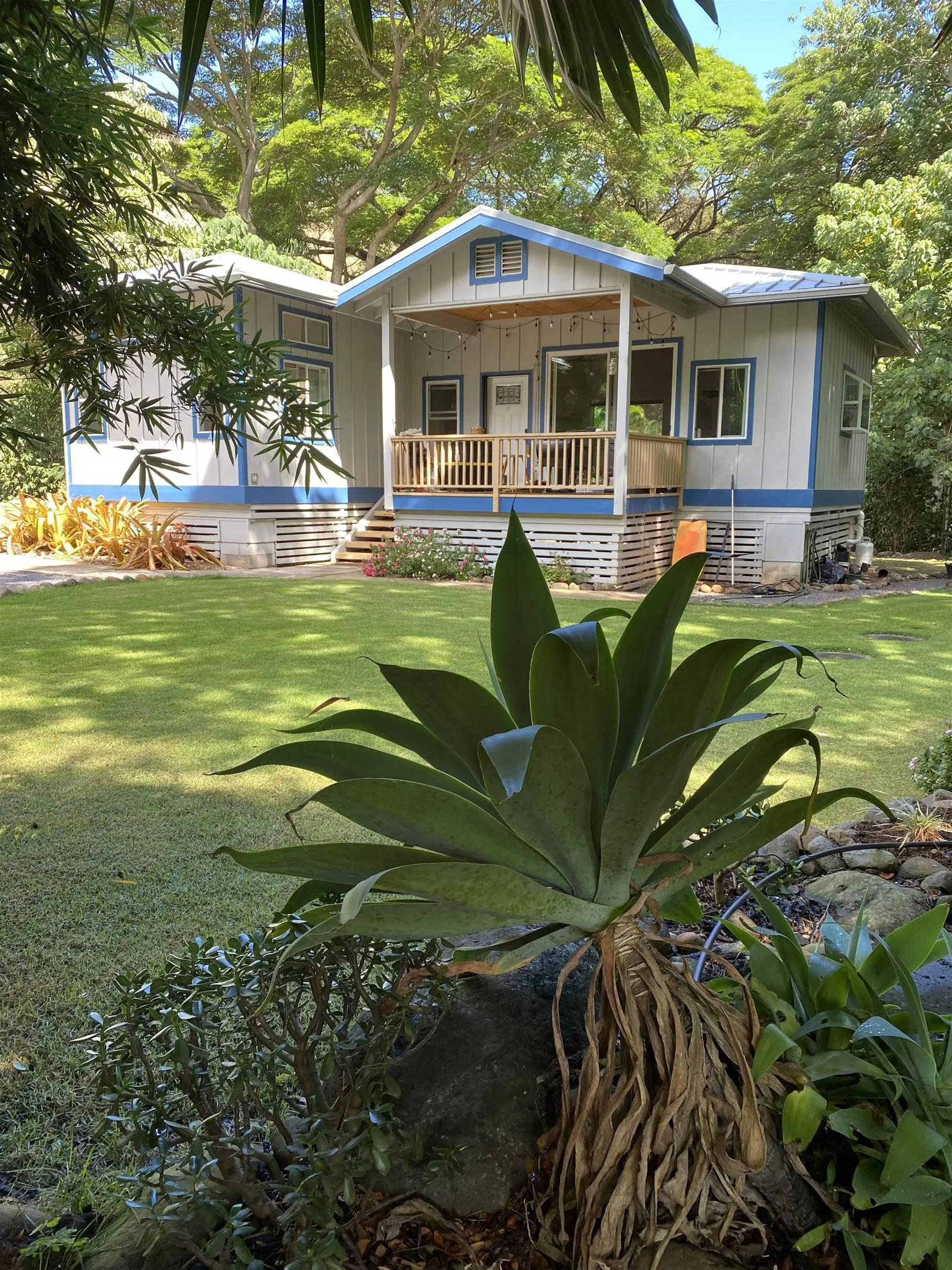 Photo of Listing #409364