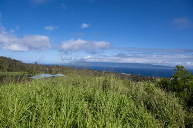 Listing Image for 640 Mahana Ridge St 39 18 of 20