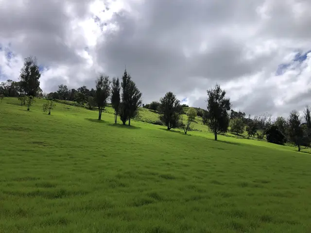 Listing Image for 0 Makanoe Pl 10 of 32