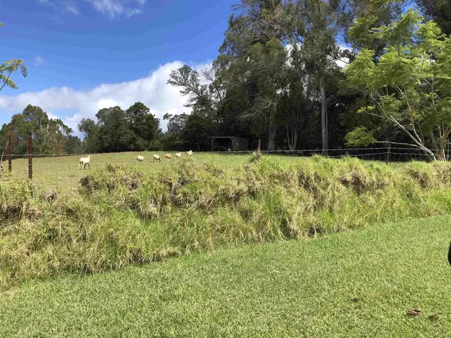 Listing Image for 0 Makanoe Pl 13 of 32