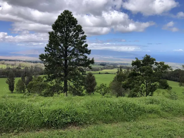Listing Image for 0 Makanoe Pl 25 of 32