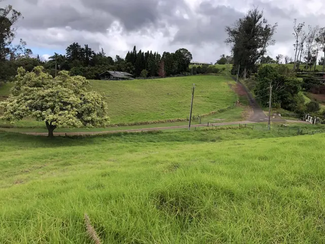 Listing Image for 0 Makanoe Pl 31 of 32