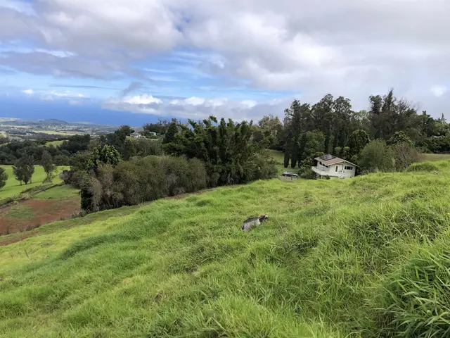 Listing Image for 0 Makanoe Pl 32 of 32