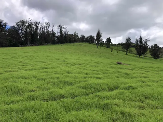 Listing Image for 0 Makanoe Pl 8 of 32