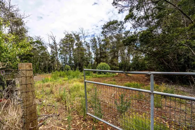 Listing Image for 1939 B Piiholo Rd B 1 of 37