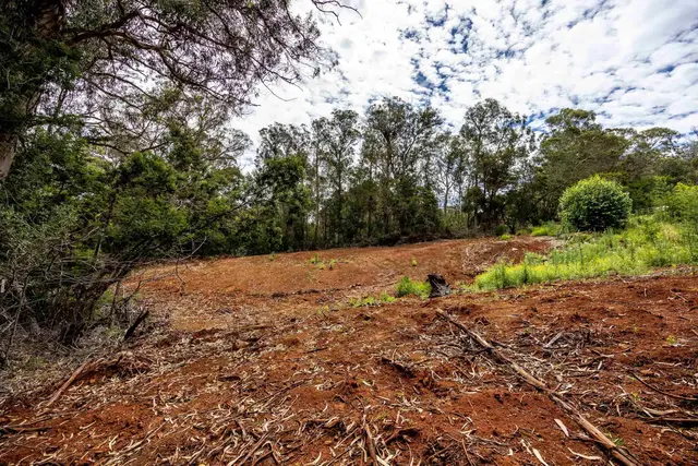 Listing Image for 1939 B Piiholo Rd B 10 of 37