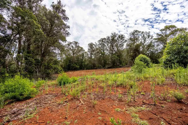 Listing Image for 1939 B Piiholo Rd B 11 of 37