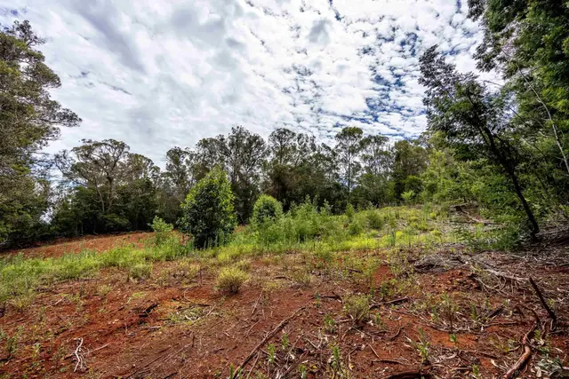 Listing Image for 1939 B Piiholo Rd B 12 of 37
