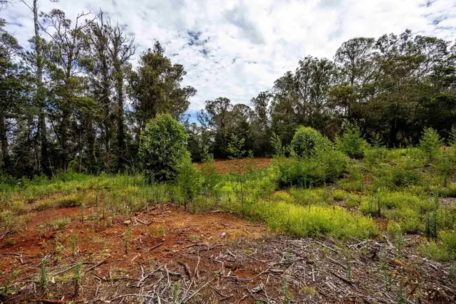 Listing Image for 1939 B Piiholo Rd B 13 of 37