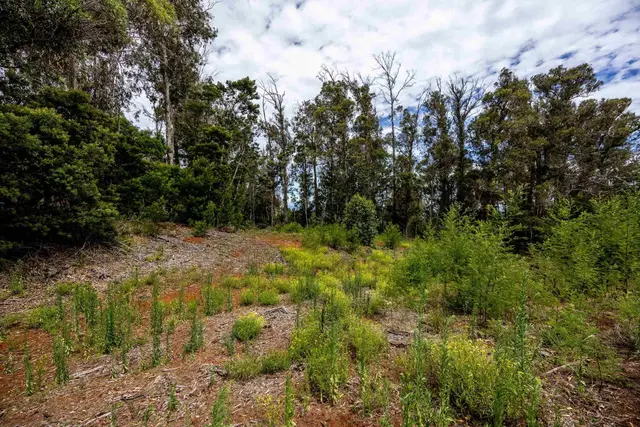 Listing Image for 1939 B Piiholo Rd B 14 of 37