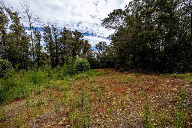 Listing Image for 1939 B Piiholo Rd B 15 of 37