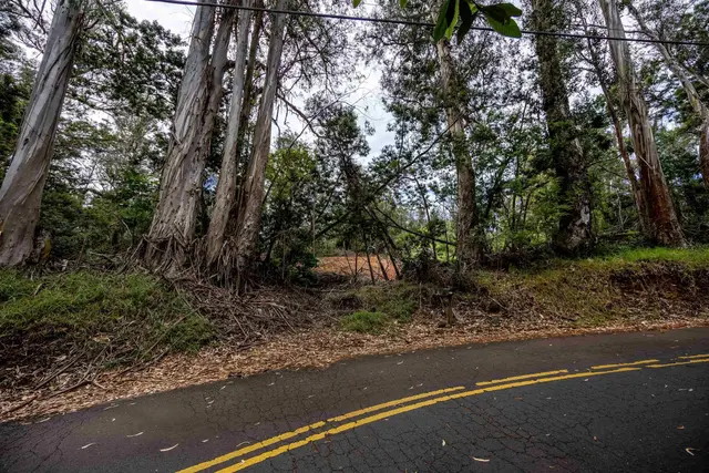 Listing Image for 1939 B Piiholo Rd B 16 of 37