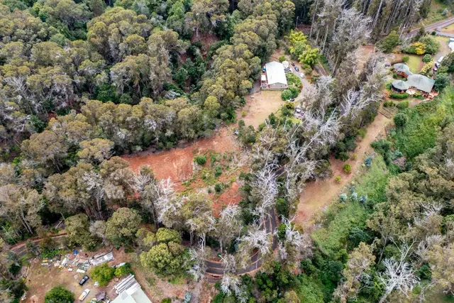 Listing Image for 1939 B Piiholo Rd B 25 of 37