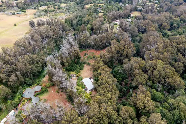 Listing Image for 1939 B Piiholo Rd B 26 of 37