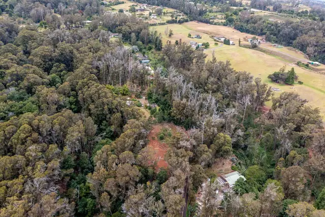 Listing Image for 1939 B Piiholo Rd B 27 of 37