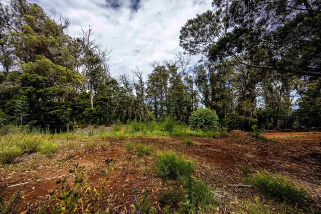 Listing Image for 1939 B Piiholo Rd B 3 of 37