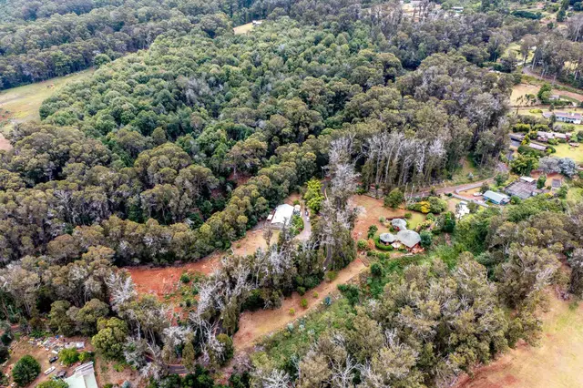 Listing Image for 1939 B Piiholo Rd B 35 of 37