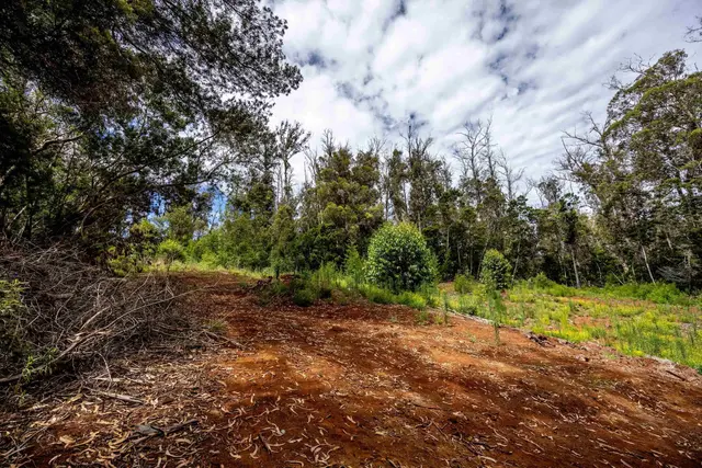 Listing Image for 1939 B Piiholo Rd B 4 of 37