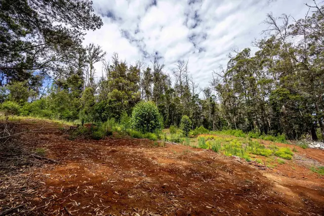 Listing Image for 1939 B Piiholo Rd B 5 of 37