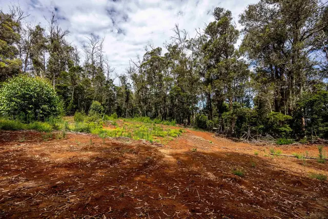 Listing Image for 1939 B Piiholo Rd B 6 of 37
