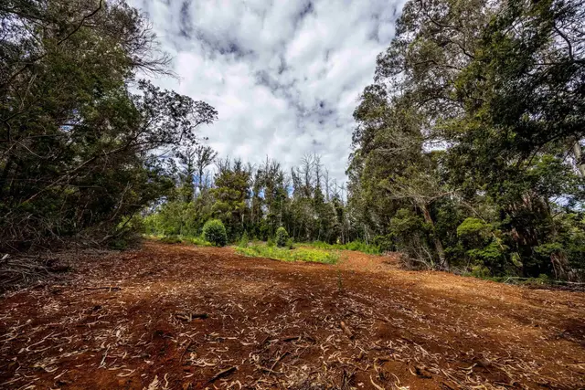 Listing Image for 1939 B Piiholo Rd B 7 of 37