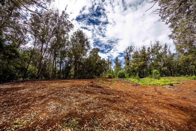Listing Image for 1939 B Piiholo Rd B 8 of 37