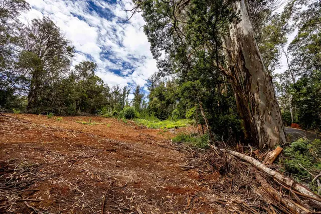 Listing Image for 1939 B Piiholo Rd B 9 of 37