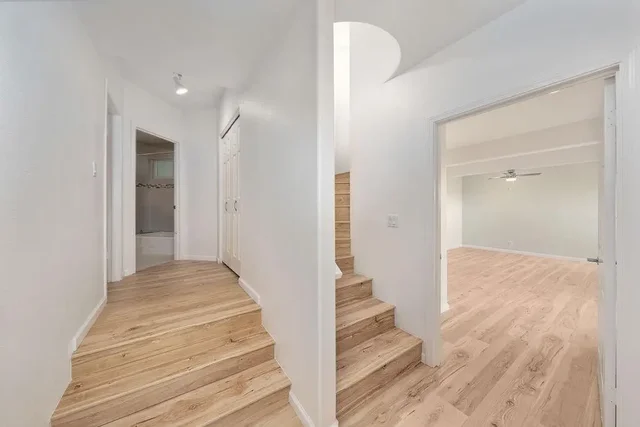 Listing Image for 679 Maalahi St 19 of 38