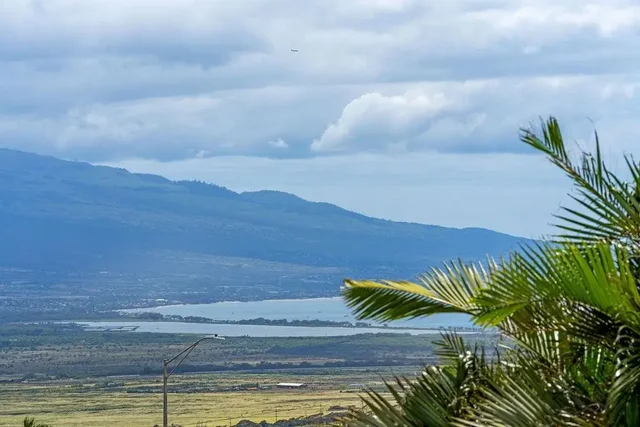 Listing Image for 679 Maalahi St 38 of 38