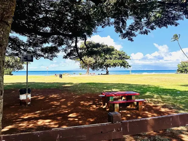 Listing Image for 3676 Lower Honoapiilani Rd C301 44 of 50