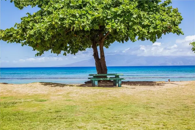 Listing Image for 3676 Lower Honoapiilani Rd C301 46 of 50