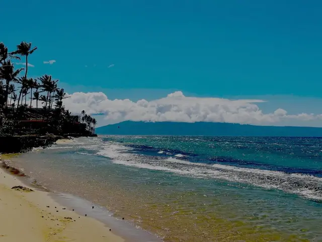 Listing Image for 3676 Lower Honoapiilani Rd C301 47 of 50