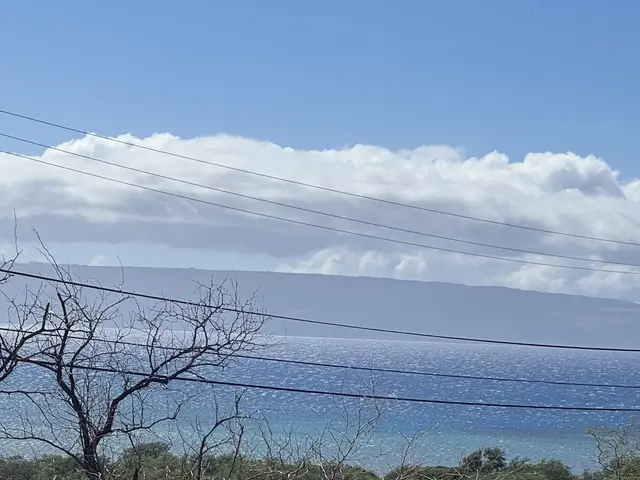 Listing Image for 12 Kupaia Pl 41 7 of 18