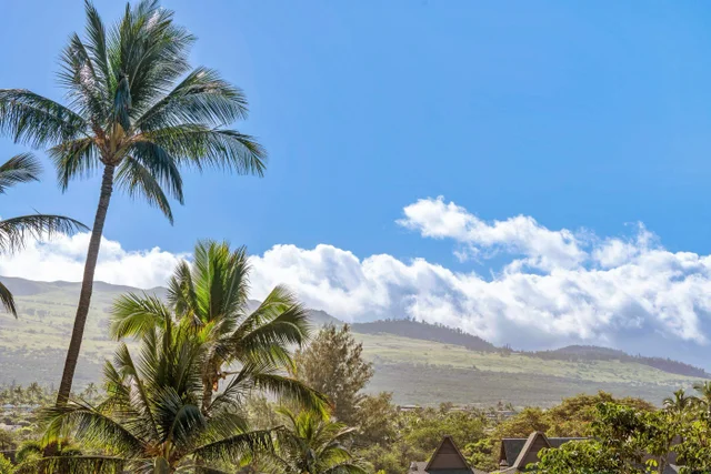 Listing Image for 2960 S Kihei Rd 310 34 of 35