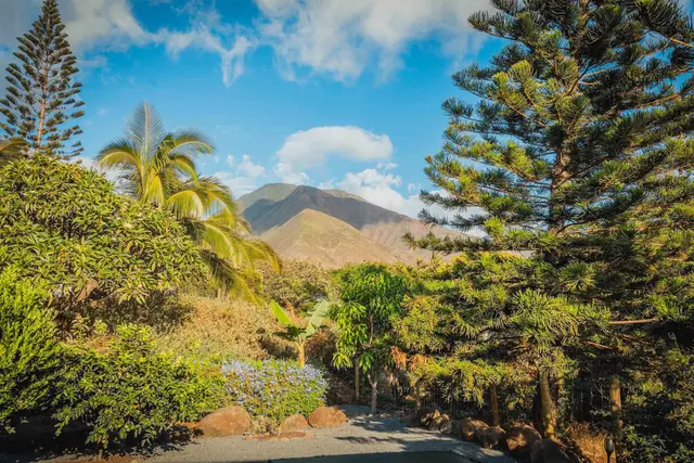 Listing Image for 202 Paia Pohaku Pl B 2 of 49