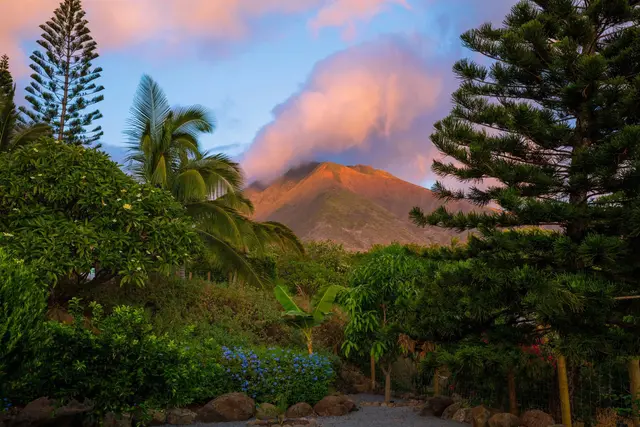 Listing Image for 202 Paia Pohaku Pl B 43 of 49