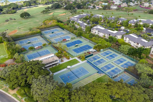 Listing Image for 161 Wailea Ike Pl D-201 33 of 36