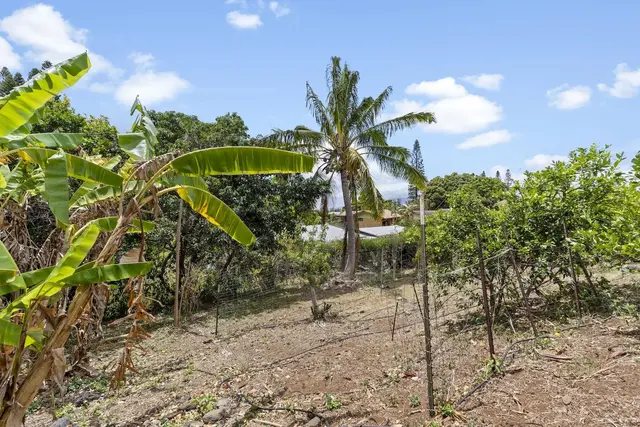 Listing Image for 28 Alaiki Pl 32 of 35