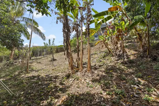 Listing Image for 28 Alaiki Pl 33 of 35