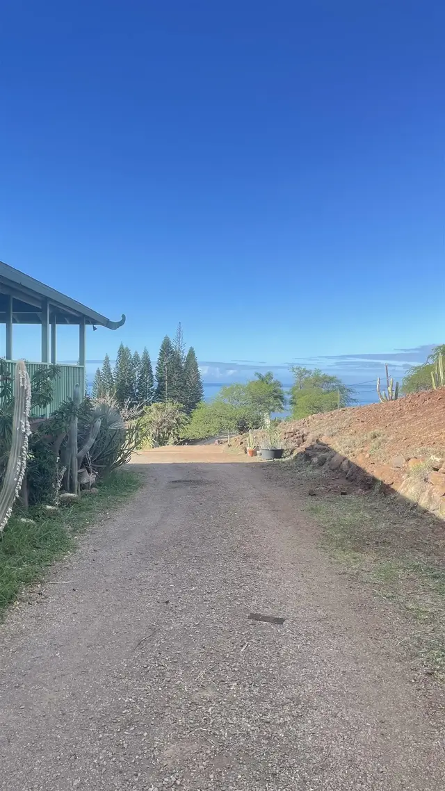 Listing Image for 296 Makanui Rd 231 8 of 38