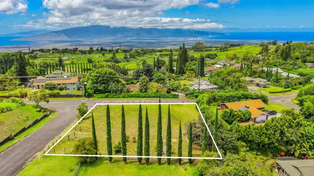 Listing Image for 11 Akea Pl 4 of 34